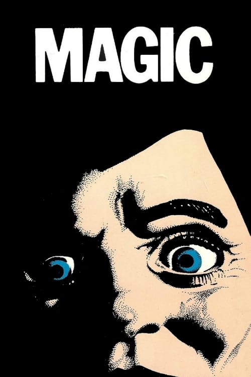 Постер Magic
